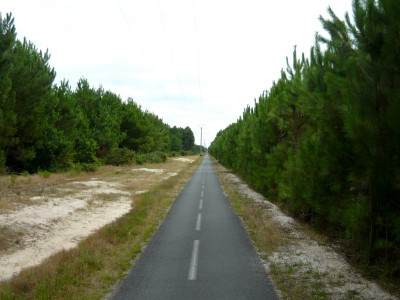 Le paysage ressemblait à ça pendant tout l'après-midi.