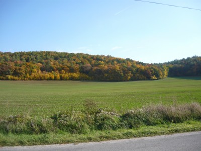 Campagne près de Partizánske